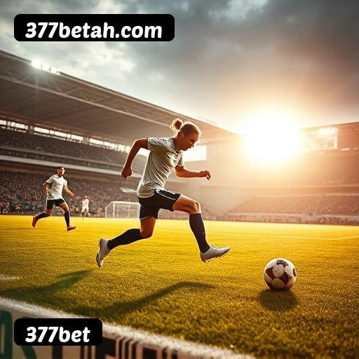 Bônus e promoções 377bet