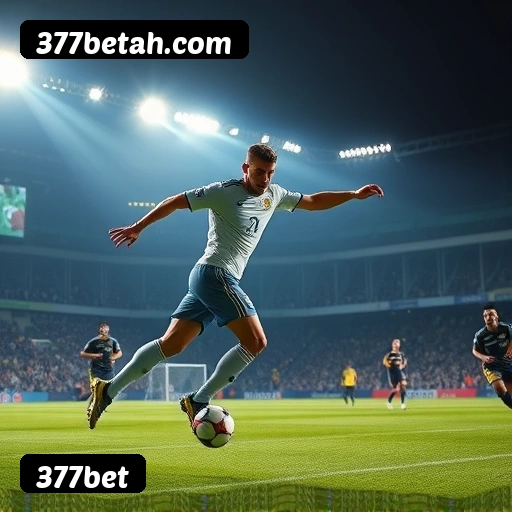Níveis do programa VIP da 377bet